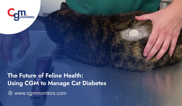 Manage Cat Diabetes