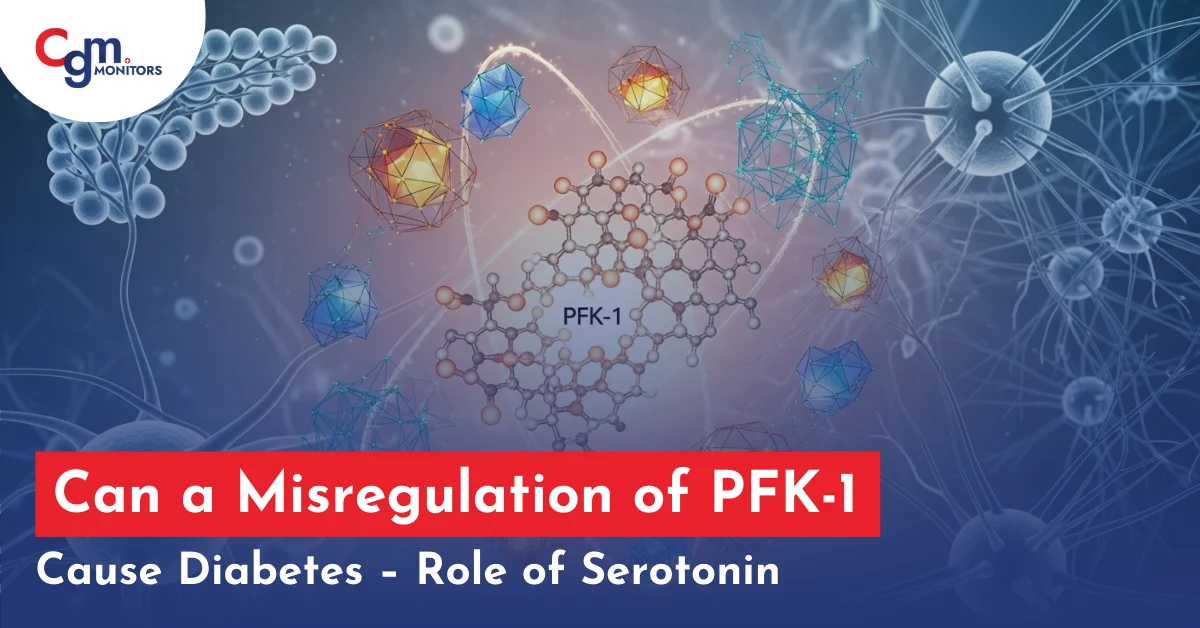 Can a Misregulation of PFK-1 Cause Diabetes