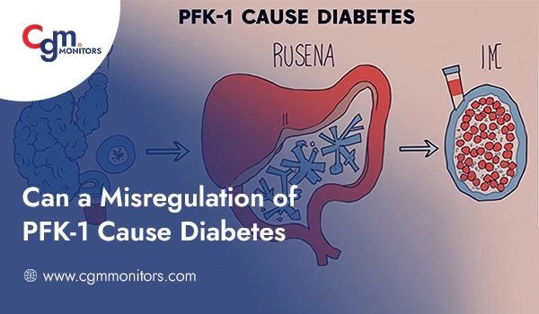 Can a Misregulation of PFK-1 Cause Diabetes