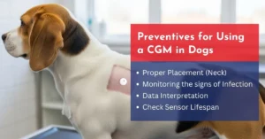Preventives for Using a CGM in Dogs