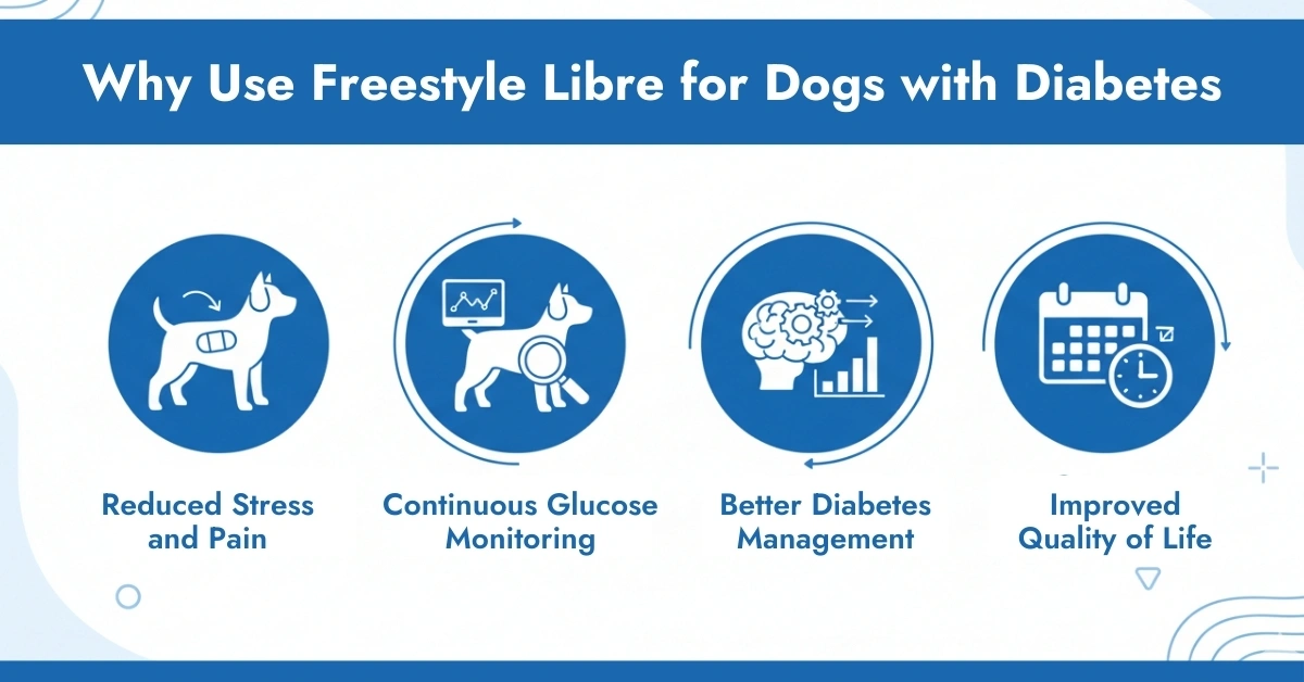 Why Use Freestyle Libre for Dogs with Diabetes