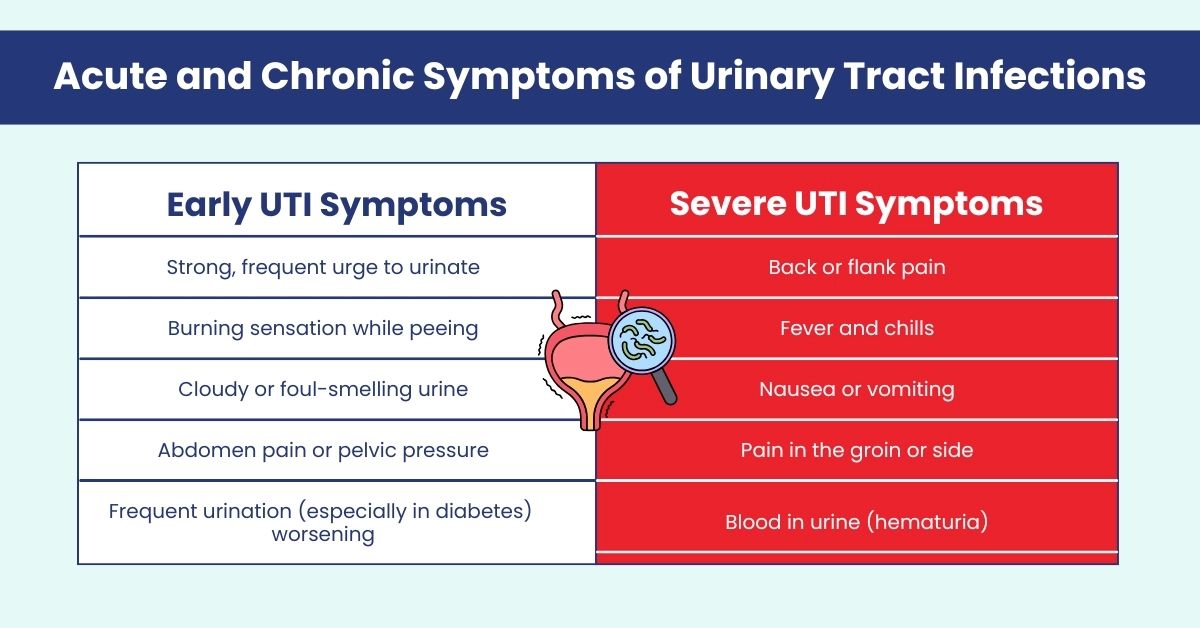 Connection Between Diabetes and UTI