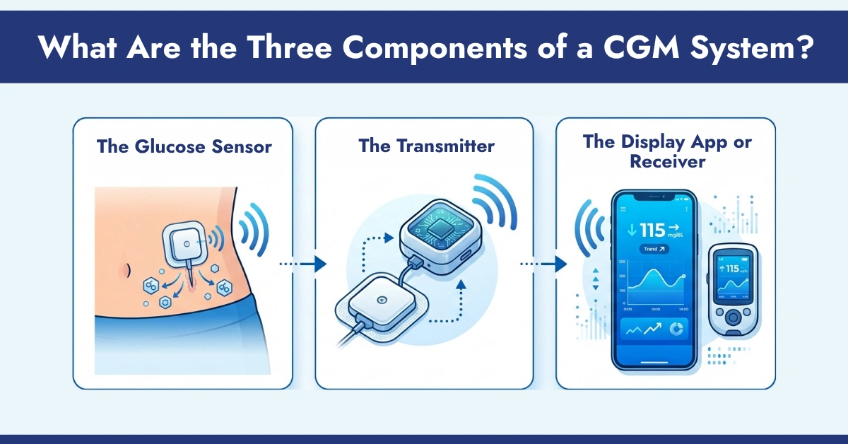 What Are the Three Components of a CGM System